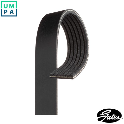 Vribbed belt 6pk1323est - belt, for