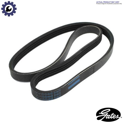 Vribbed belt 6pk1323est for - vribbed,