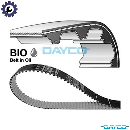 Timing belt 941136 for - timing,
