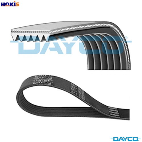 Vribbed belt 6pk1685 - belt,