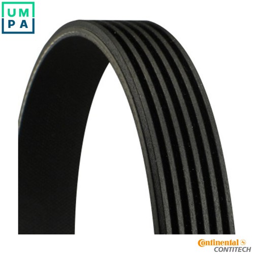 Vribbed belt 6pk1324 - vribbed, for