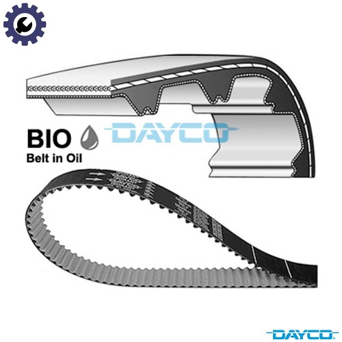 Timing belt 941136 for - timing,