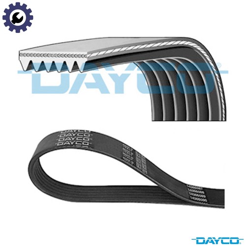 Vribbed belt 6pk1685 for ford - belt,