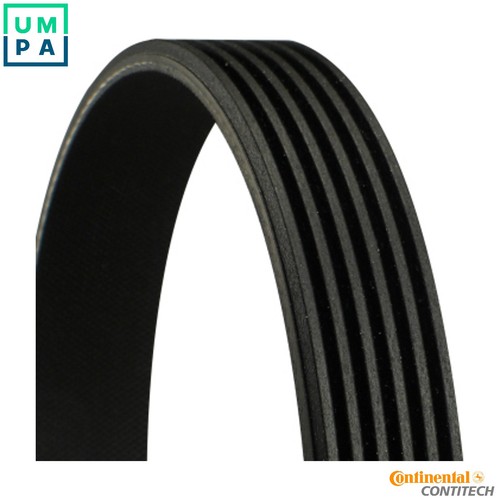 Vribbed belt 6pk1324 extra - vribbed,