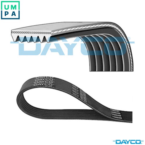 Vribbed belt 6pk1685 for - 6pk1685,